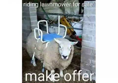 Riding lawnmower